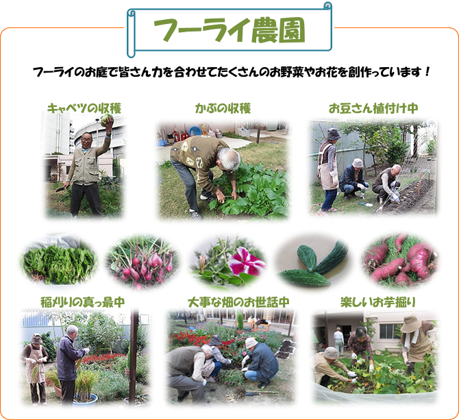 フーライ農園